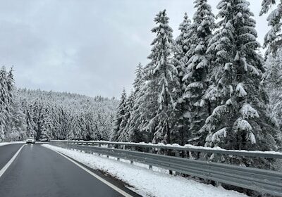 a road in the middle of a forest covered in snow