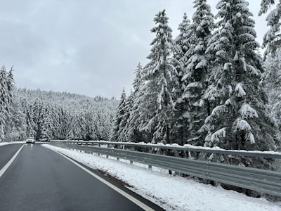 a road in the middle of a forest covered in snow